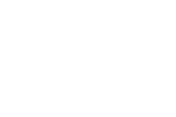 The White Horse, Wembley